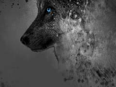 소나기 세찬 날.