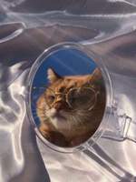 자캐 신청서 및 연성