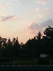 [해리포터] 어느 날 네가 나타났을 때