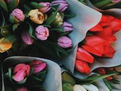 1010235, 올리비아!