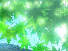 복치 트위터 썰 백업 ᗩ