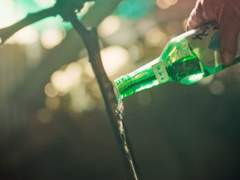 일장춘몽(一場春夢) : 8월의 봄이었다.