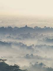 진삼국무쌍 관련