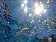 Our Blue Love 공지사항