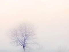 [인택천수] 속성