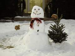 Don’t cry snowman