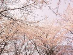 오늘 3교시 수학이야