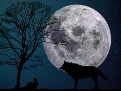 눈 앞의 벽도, 제 앞의 선도, 특별히 당신만큼은 넘을 수 있게 해드리죠