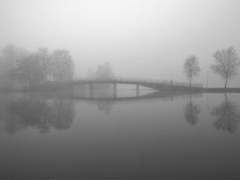 종소리가 흐르는 그 강물에 꽃을 띄워 보낼게.