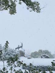 동물원에서의 아침