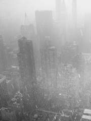 멋진 ■의 도시