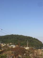 선량의 시골힐링미스테리 소설