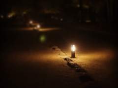 상사화 바로 그 첫편