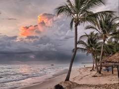 [유가코코조합] 서머 타임 中