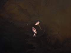 가상앨범 'TOUCH'