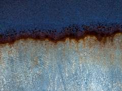 페이지 . 천사 . 3학년