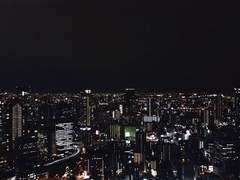 살다보니 별일 1