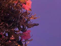 [규빈재걸] 진실의 증명