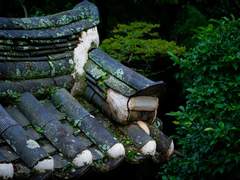 [와피합작] 경계의 : 빛