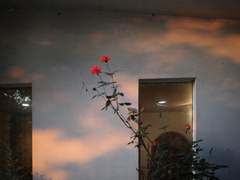 [현예] 스무 번째 첫 만남