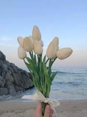 🌸 쿄토 일상물 🌸