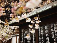 쌍룡행(雙龍行) : 第一章