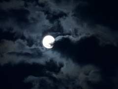 [재헌지수] 달밤 #1