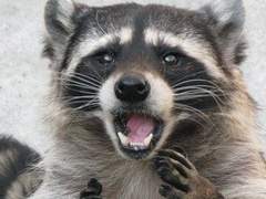 미움받는것이 싫었다.