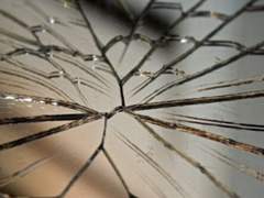 당신이 나를 경계할 필요 없어요.