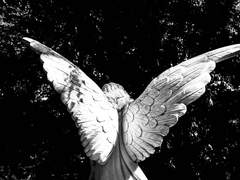 [원부] 걱정하지 마.