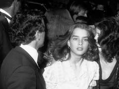 이자벨 토런 하빌랜드