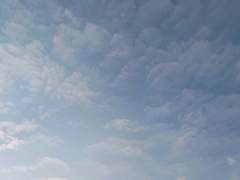 외사랑과 짝사랑