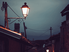 『 세계의 마지막 발버둥. 』