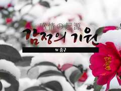 [시노비가미]감정의 기원