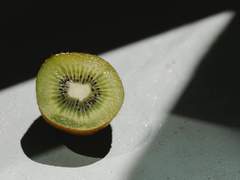 느린 햇살을 맞으며.