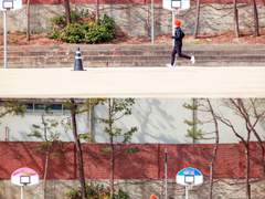 하이큐(ハイキュー!!)