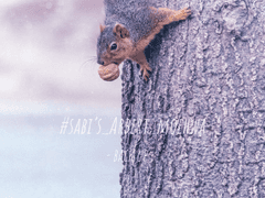 [알베케일] 맵찔이 알베르 썰을 모아보았다