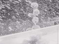 망가져버린 불꽃의 발화지