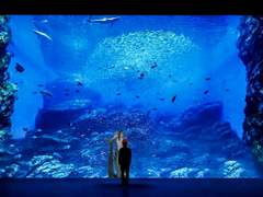 Disney Twisted Wonderland(ディズニー ツイステッドワンダーランド)