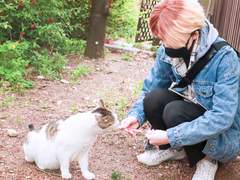 하이큐!!(ハイキュー!!)