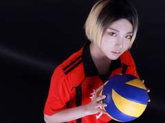 하이큐!!(ハイキュー!!)