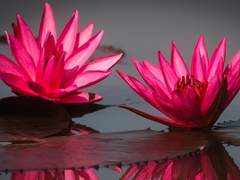 RISK : 우리의 사랑