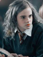 깊은 숲속 도토리마을