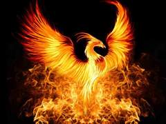 도사 양성 사관 학교 안내서