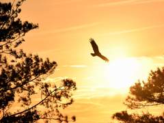 나에 대해 다시 한 번 알려줘도 될까?