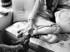 내 슬픔을 말한다면