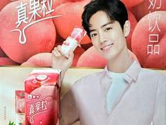 [타오바오] 진과립(팩)