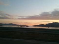 도망치고 싶지 않다