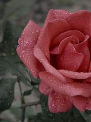 Could you love me anyway?