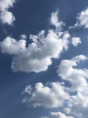 겨울이 지나면 여름이 온다